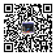 微（wēi）信二維碼（mǎ）